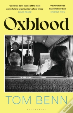 Capa do artigo Oxblood