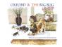 Oxford & The Big Bug - Preview