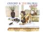 Oxford &  The Big Bug - Preview