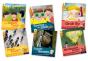 Oxford Reading Tree Explore With Biff, Chip And Kipper: Oxford Level 6: Mixed Pack Of 6 - Preview