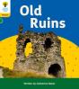 Oxford Reading Tree: Floppy'S Phonics Decoding Practice: Oxford Level 5: Old Ruins - Preview
