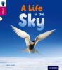 Oxford Reading Tree Infact: Level 10: A Life In The Sky - Preview