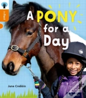 Capa do artigo Oxford Reading Tree Infact: Level 6: A Pony For A Day