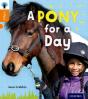 Oxford Reading Tree Infact: Level 6: A Pony For A Day - Preview