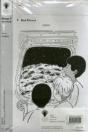 Oxford Reading Tree: Level 7: Workbooks: Workbook 1 (Pack Of 30) - Preview