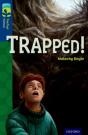 Oxford Reading Tree Treetops Fiction: Level 14 More Pack A: Pack Of 6 - Preview