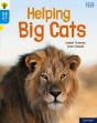 Oxford Reading Tree Word Sparks: Level 3: Helping Big Cats - Preview