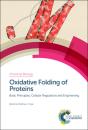 Oxidative Folding Of Proteins - Preview