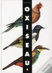 Oxiseau