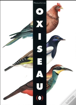 Capa do artigo Oxiseau
