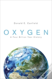 Capa do artigo Oxygen