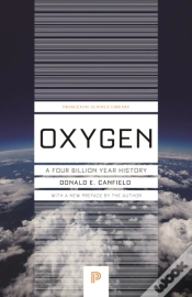 Capa do artigo Oxygen
