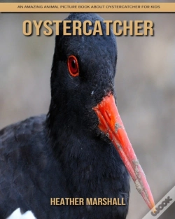 Capa do artigo Oystercatcher