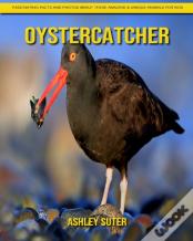Oystercatcher
