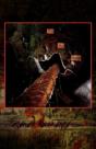 Oz Suite (Paperback) - Preview