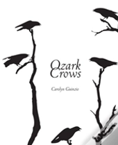 Ozark Crows