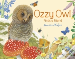 Capa do artigo Ozzy Owl Finds A Friend