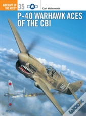 P-40 Warhawk Aces Of The Cbi