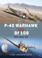 P-40 Warhawk Vs Bf 109 - Preview