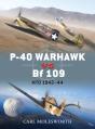 P-40 Warhawk Vs Bf 109 - Preview