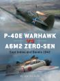 P-40e Warhawk Vs A6m2 Zero-Sen - Preview