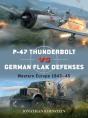 P-47 Thunderbolt Vs German Flak Defenses - Preview