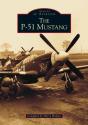 P-51 Mustang - Preview