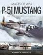 P-51 Mustang - Preview
