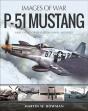 P-51 Mustang - Preview