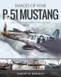 P-51 Mustang - Preview