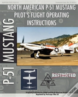 Capa do artigo P-51 Mustang Pilot'S Flight Operating In