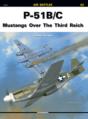 P-51b/C Mustangs Over The Third Reich - Preview