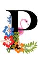P Aloha - Preview