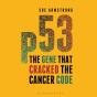 P53 - Preview