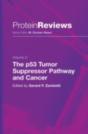 P53 Tumor Suppressor Pathway And Cancer - Preview