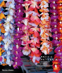 Pacific Pattern - Preview
