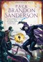 Pack Brandon Sanderson - Preview
