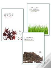 Capa do artigo Pack - O Novíssimo Príncipe / Tempo de Vésperas / Saneamento Nacional