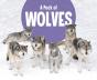 Pack Of Wolves A - Preview