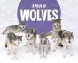 Pack Of Wolves - Preview