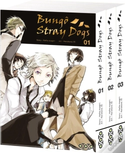 Capa do artigo Pack Or : Bungo Stray Dogs T01 A T03