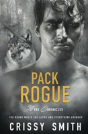 Pack Rogue - Preview