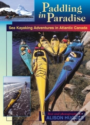 Capa do artigo Paddling In Paradise