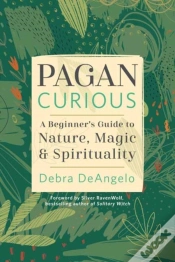 Capa do artigo Pagan Curious