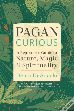 Capa do artigo Pagan Curious