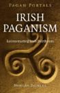 Pagan Portals Â€“ Irish Paganism Â€“ Reconstructing Irish Polytheism - Preview