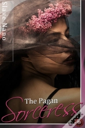 Capa do artigo Pagan Sorceress