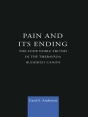 Pain And Its Ending - Preview