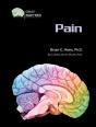 Pain - Preview