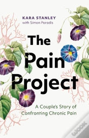 Capa do artigo Pain Project